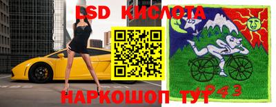 мяу мяу мука Гагарин