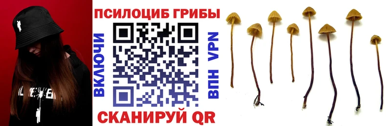 маркетплейс Telegram  Екатеринбург  Галлюциногенные грибы Magic Shrooms 