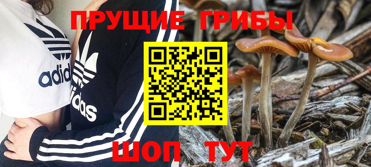 Галлюциногенные грибы Cubensis  Вход с VPN  Псилоцибиновые грибы Psilocybine cubensis  Екатеринбург 
