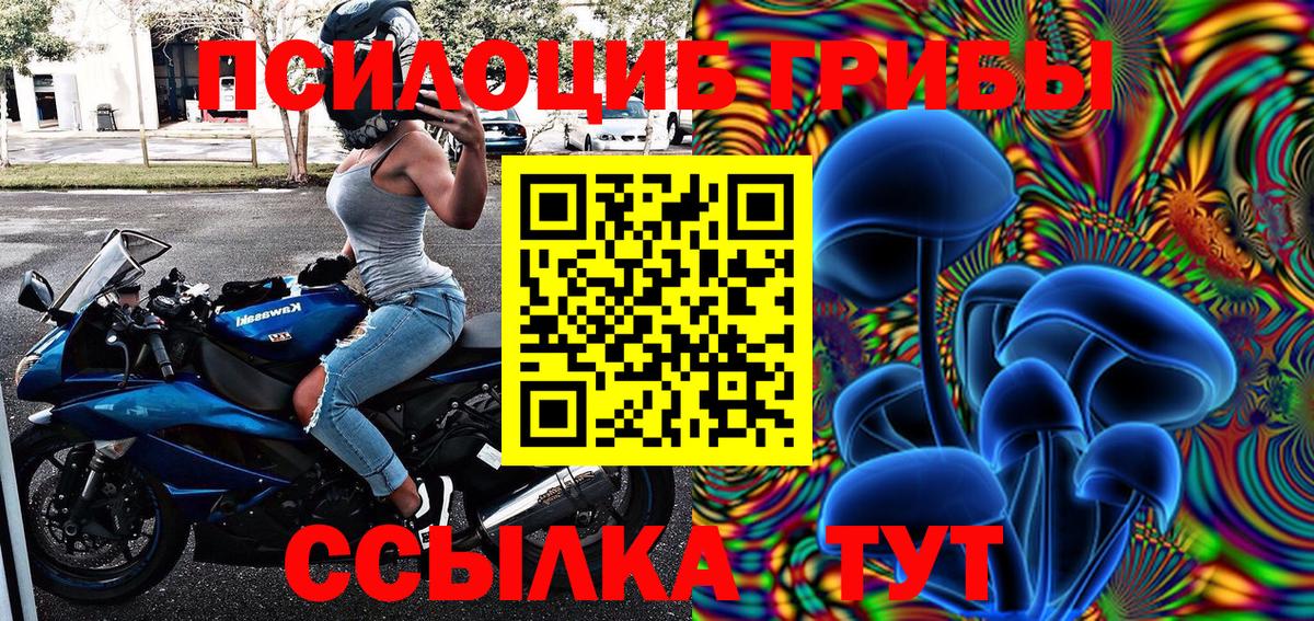 Галлюциногенные грибы Magic Shrooms  Екатеринбург 