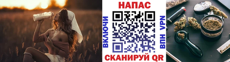 цена   Екатеринбург  ссылка на мегу ТОР  Конопля SATIVA & INDICA 